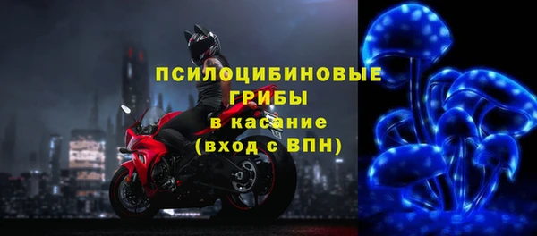 меф Осинники