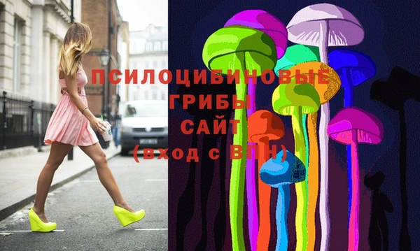 не бодяженный Осташков