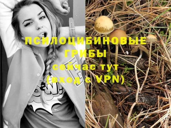 не бодяженный Осташков