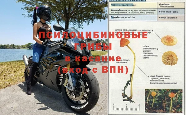 не бодяженный Осташков