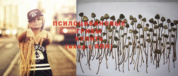 меф Осинники