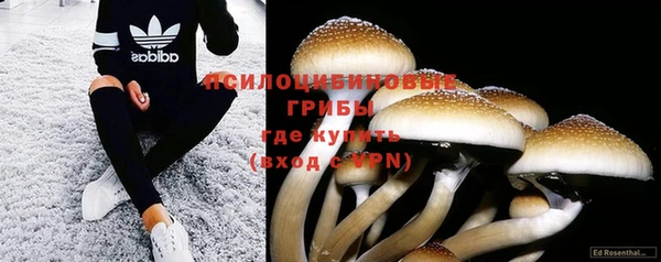 не бодяженный Осташков