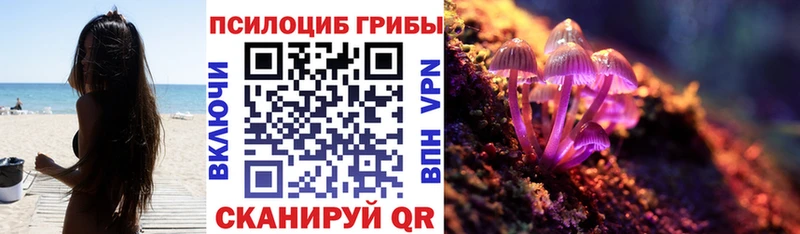 ОМГ ОМГ ссылки как найти Старая Русса Псилоцибиновые грибы мухоморы