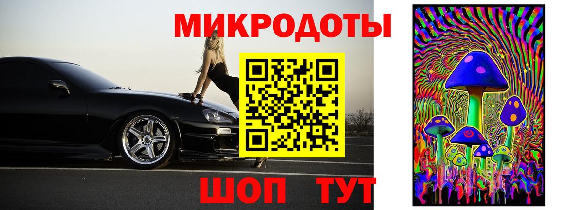 Галлюциногенные грибы Psilocybine cubensis Старая Русса