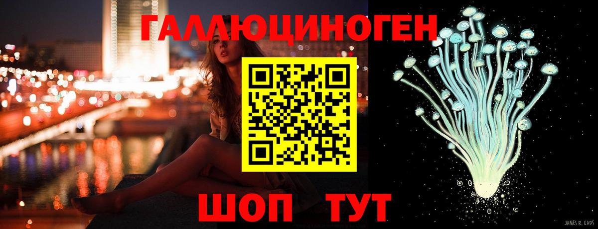 Псилоцибиновые грибы Psilocybe  Вход с VPN  Старая Русса 