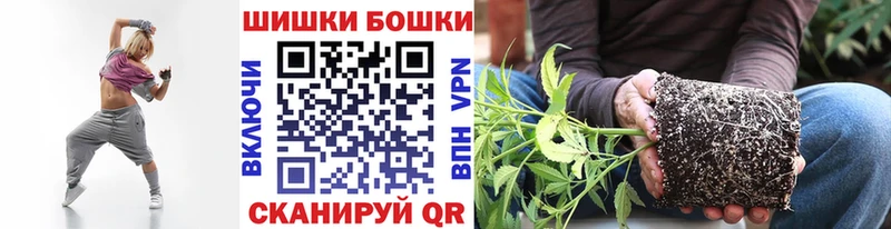 Шишки марихуана Amnesia Старая Русса