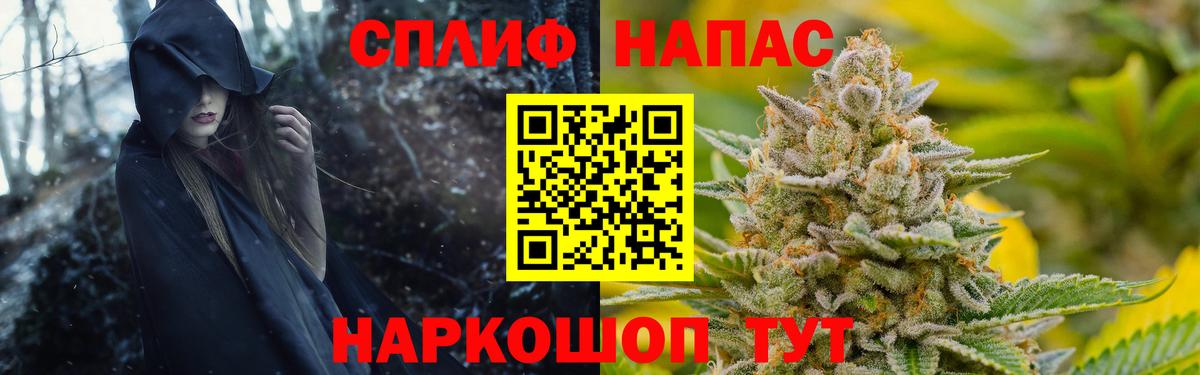 Конопля OG Kush Старая Русса